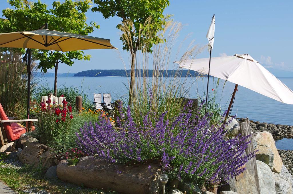 Blitz Beach House Oceanside Suite Powell River Exterior photo