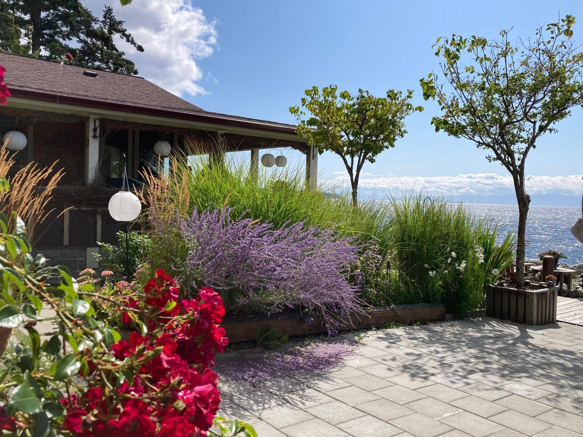 Blitz Beach House Oceanside Suite Powell River Exterior photo